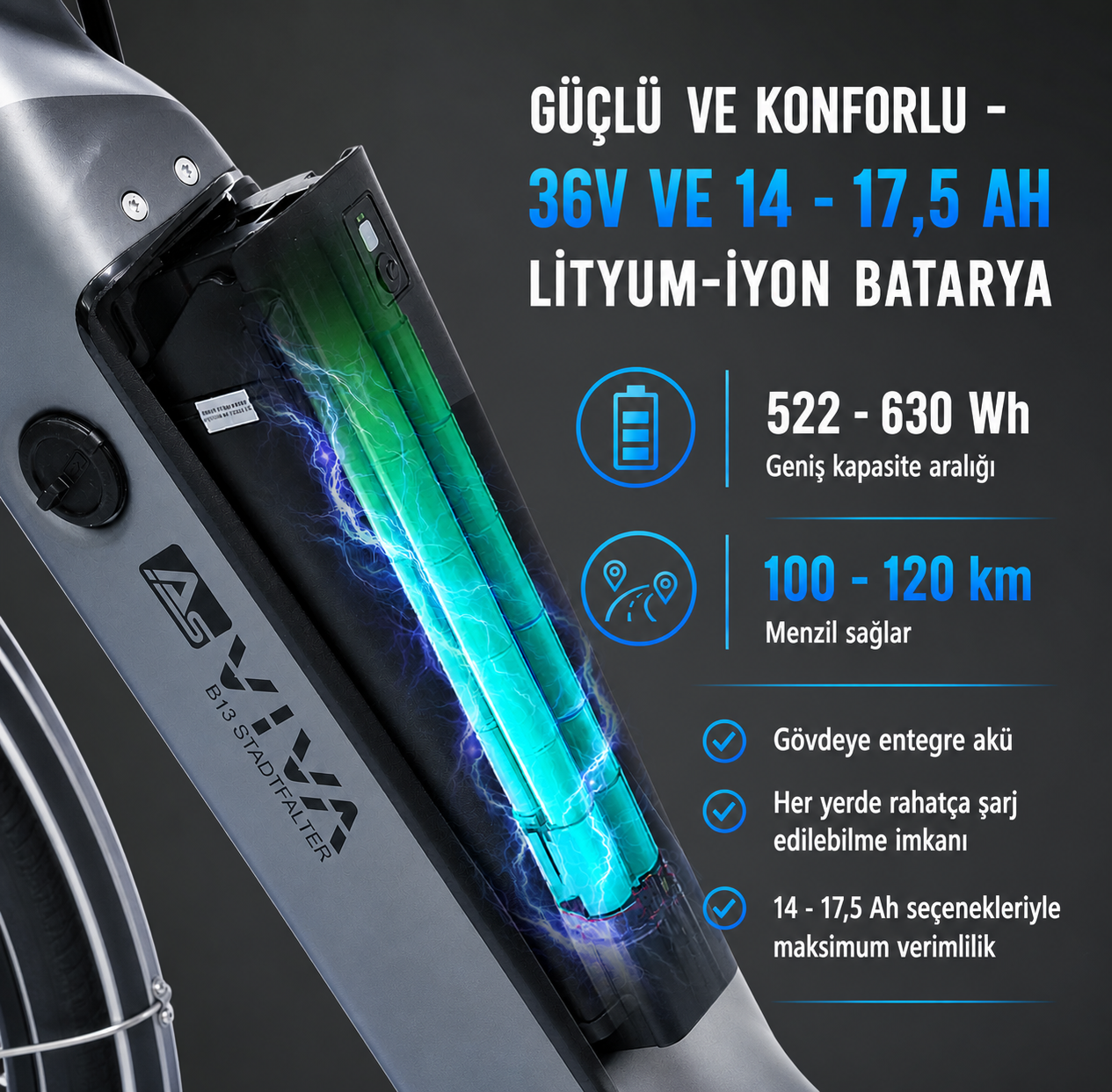 Samsung Batarya