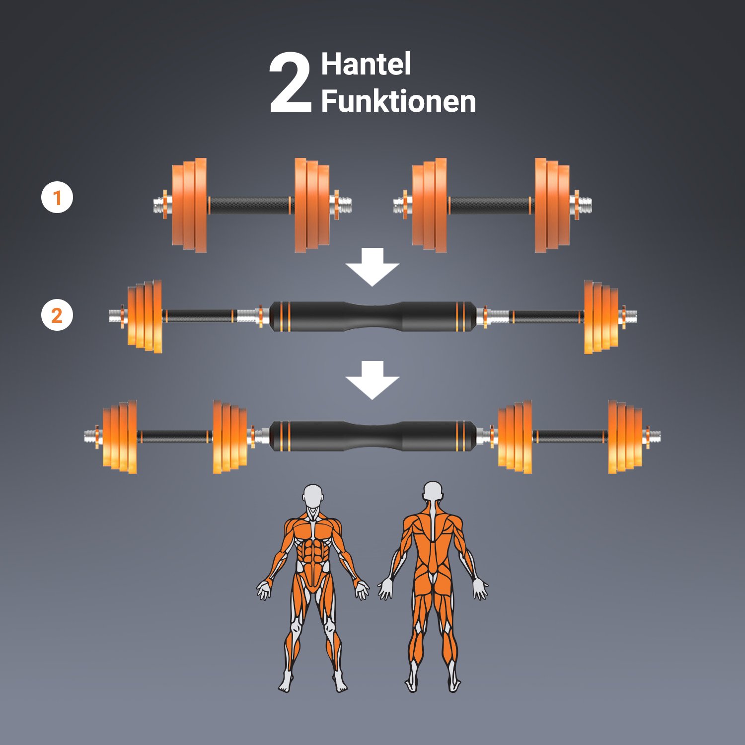 DB2 Dambıl Seti